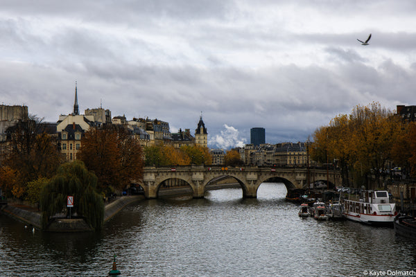 Fall Along the Seine