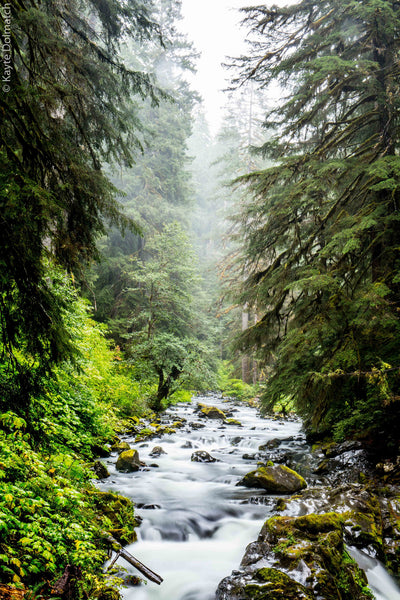 Serene