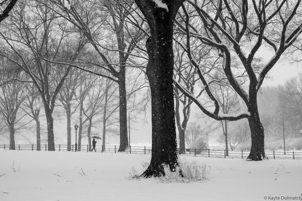 Snow Stroller
