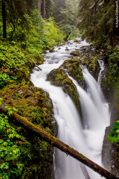 Sol Duc Falls